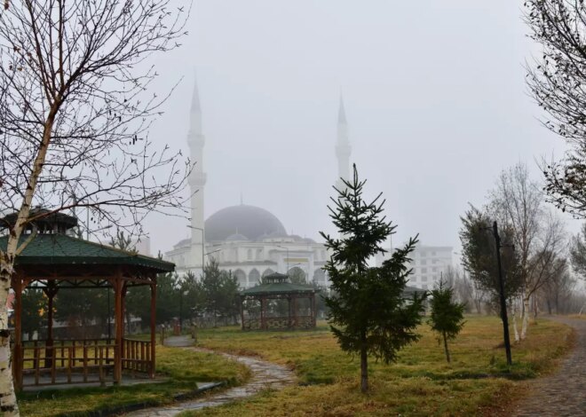 Ardahan’da Yoğun Sis Etkili Oldu